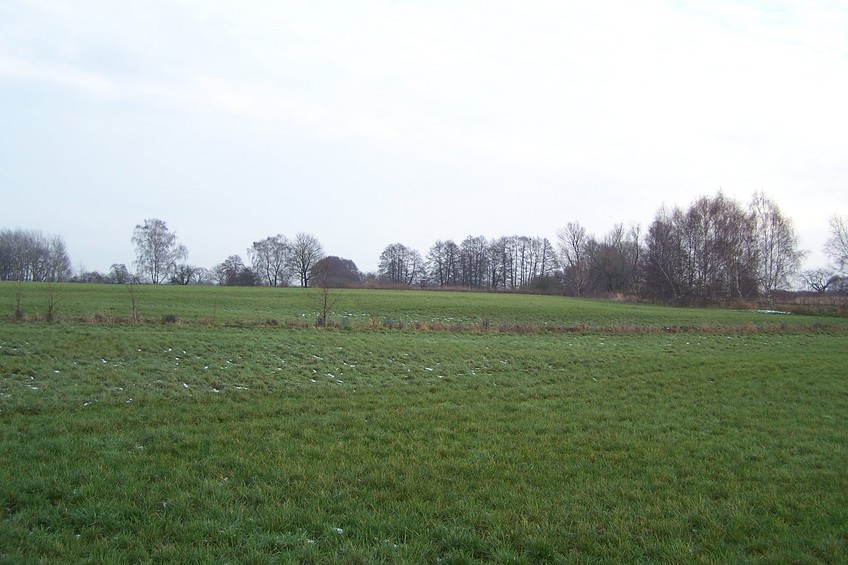 General view of the confluence (towards E, ca. 100 m away)