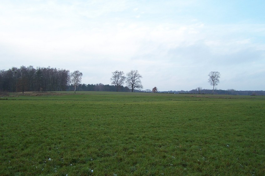 View towards W from the confluence