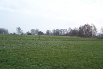 #1: General view of the confluence (towards E, ca. 100 m away)