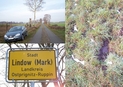 #10: Road from Banzendorf to Lindow and boggy ground