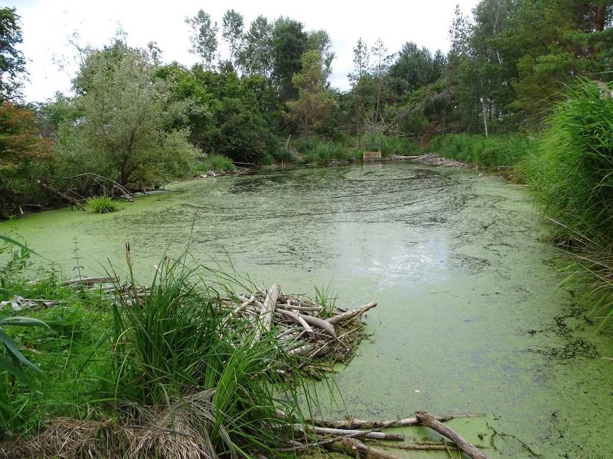 Green Lake