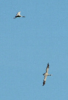 #8: Bild 8