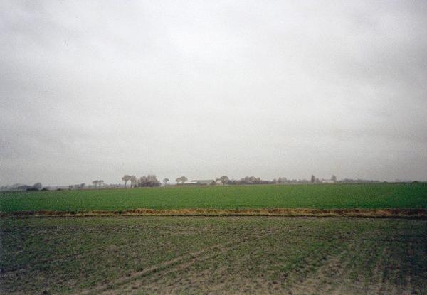 View to the east