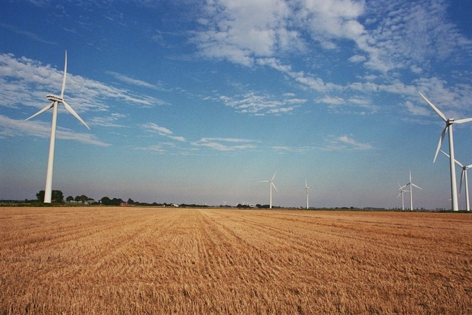 Looking east, 50 m away from 54°N 9°E