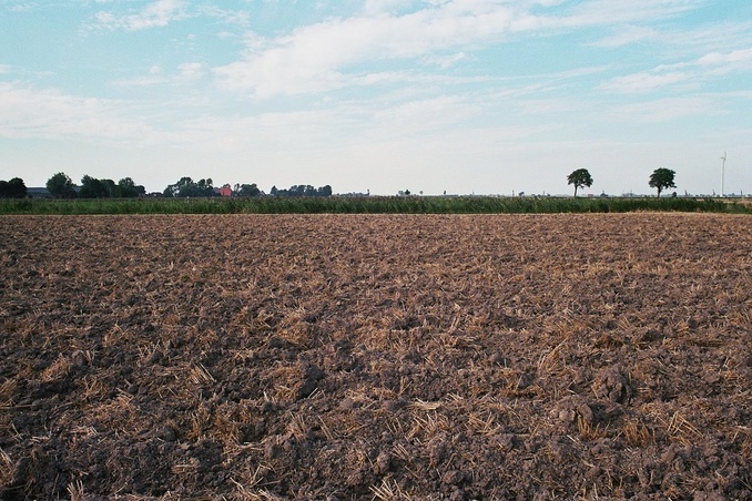 Looking north