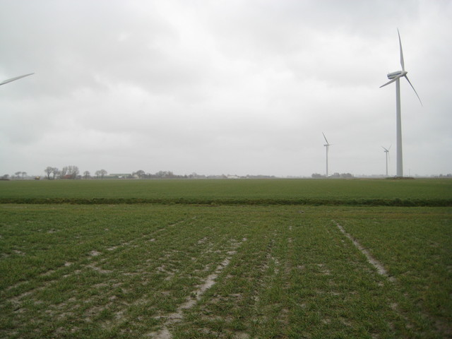 view east
