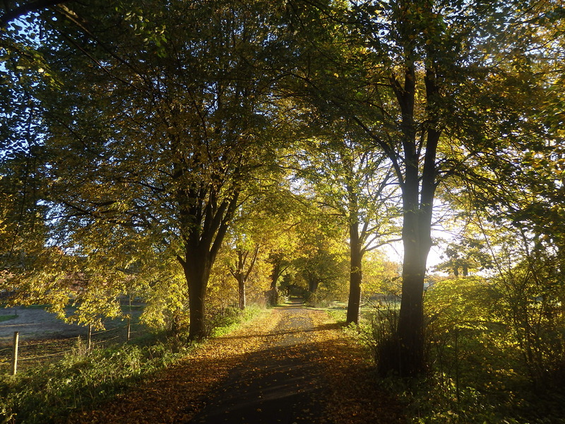 Nearby Bicycle Path