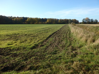 #1: The Confluence from 15 m Distance