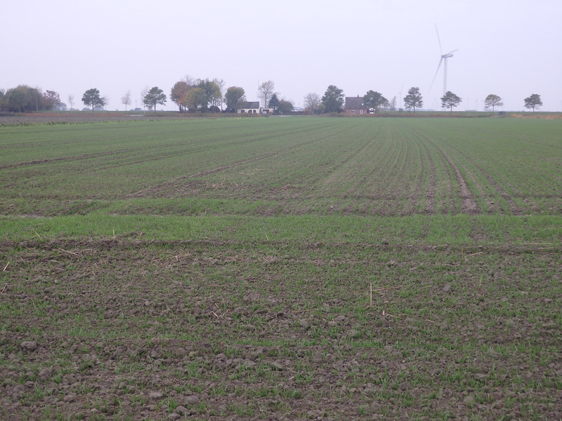 The Confluence from 30 m Distance