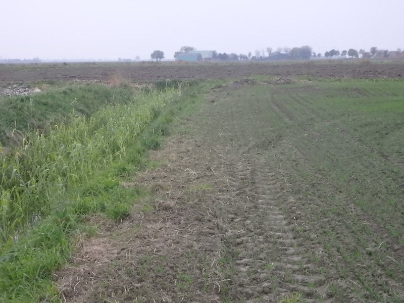 View to the South