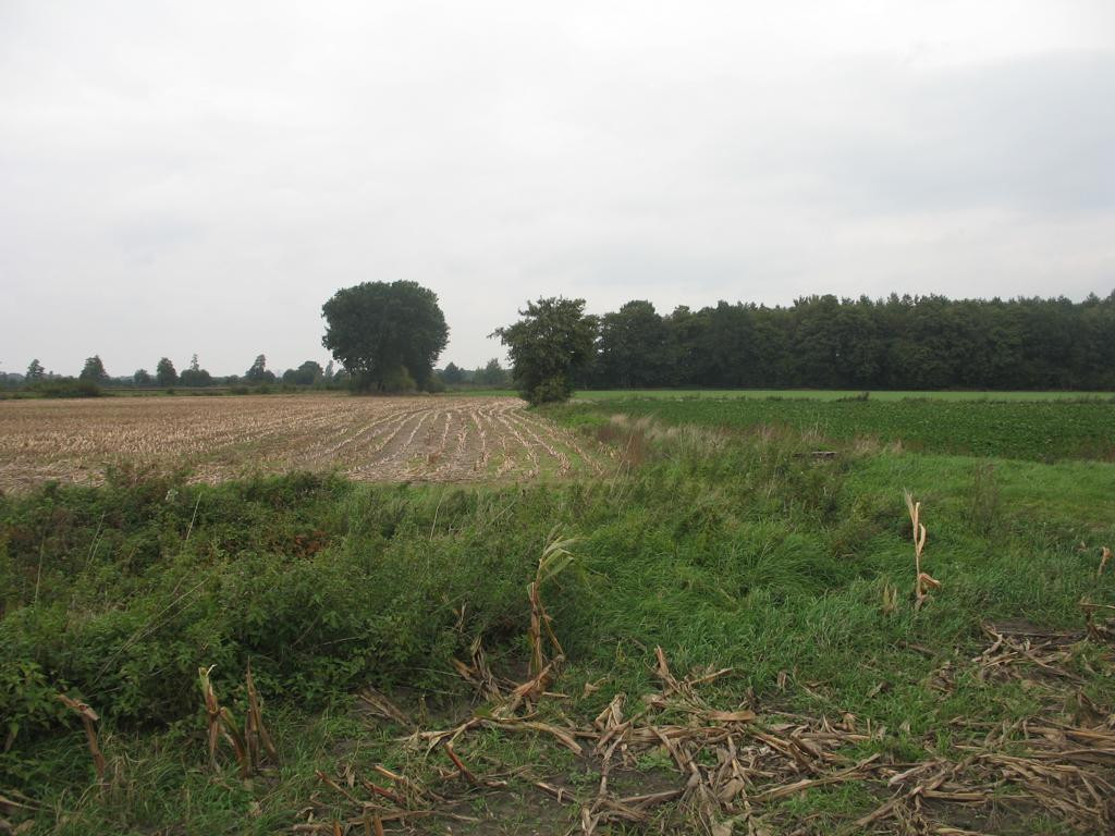 Norden; view north