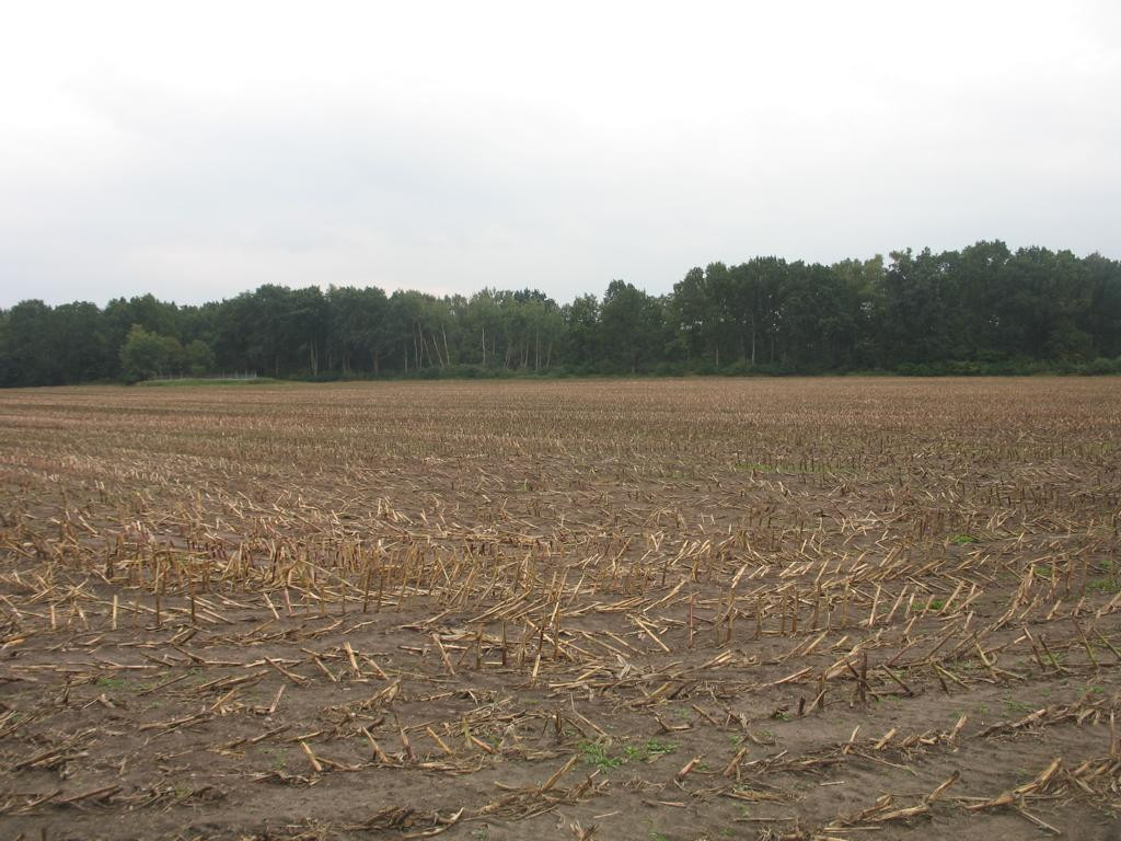 Süden; view south