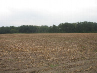 #3: Süden; view south