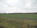 #6: Just when I was back in the car a train came along the track in the middle... WEST