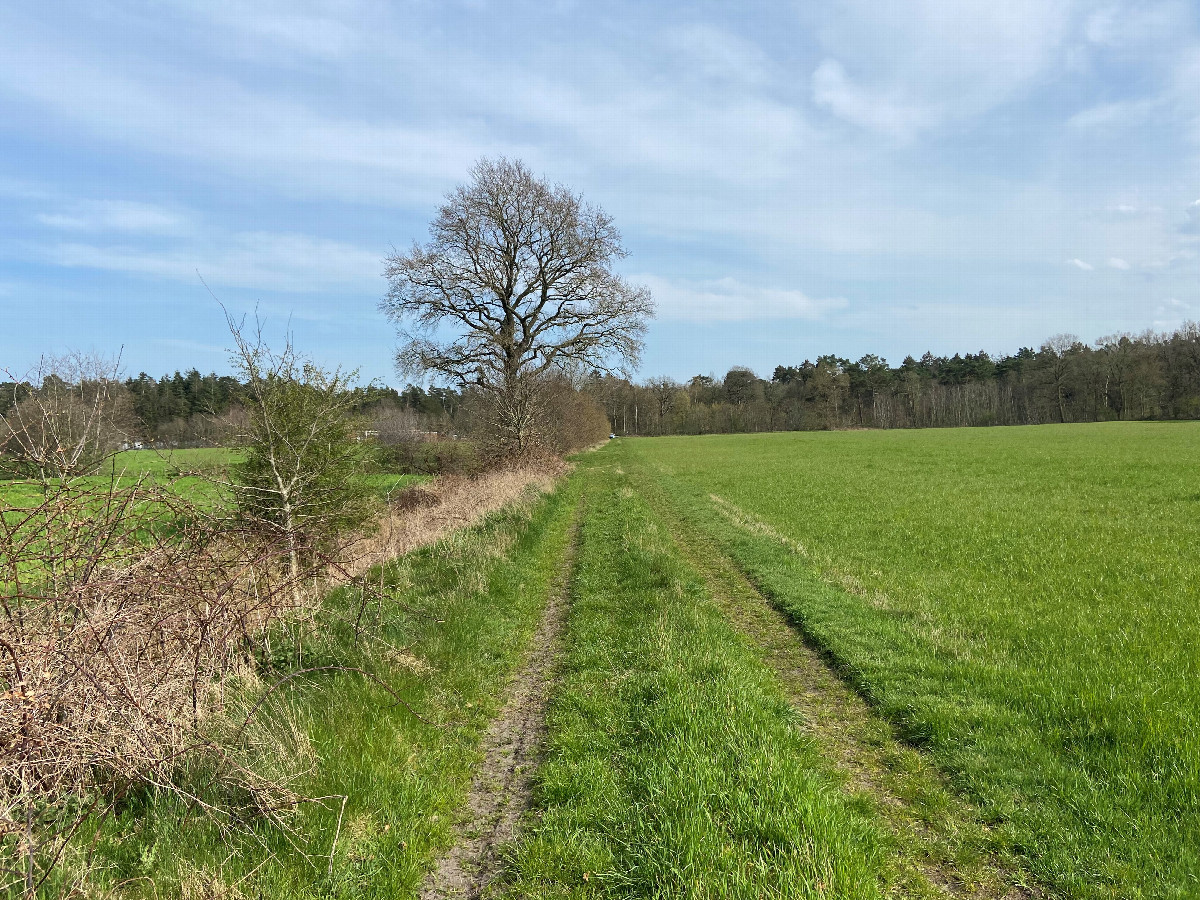 Pathway to and from the road to the confluence site, looking southeast.