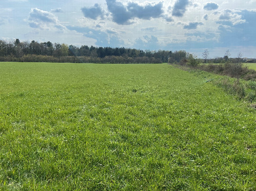 #1: View of 54 North 10 East, in foreground, looking southwest.