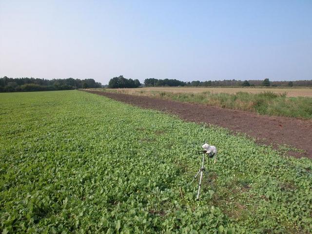 View in northern direction / Blick in nördliche Richtung