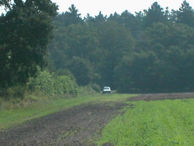View in western direction / Blick in westliche Richtung