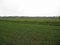 #6: view west