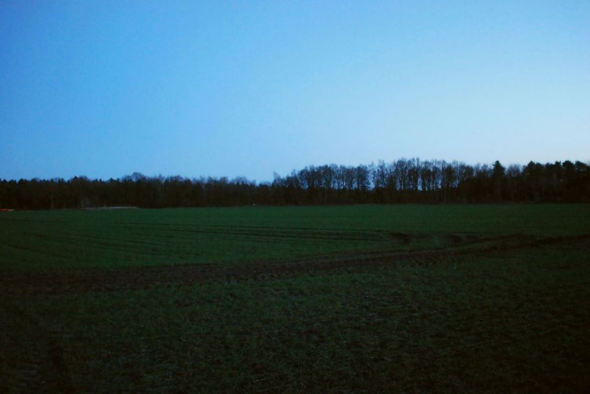View to the South