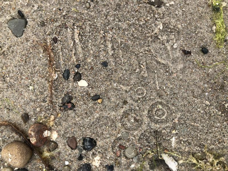 Spuren von uns
