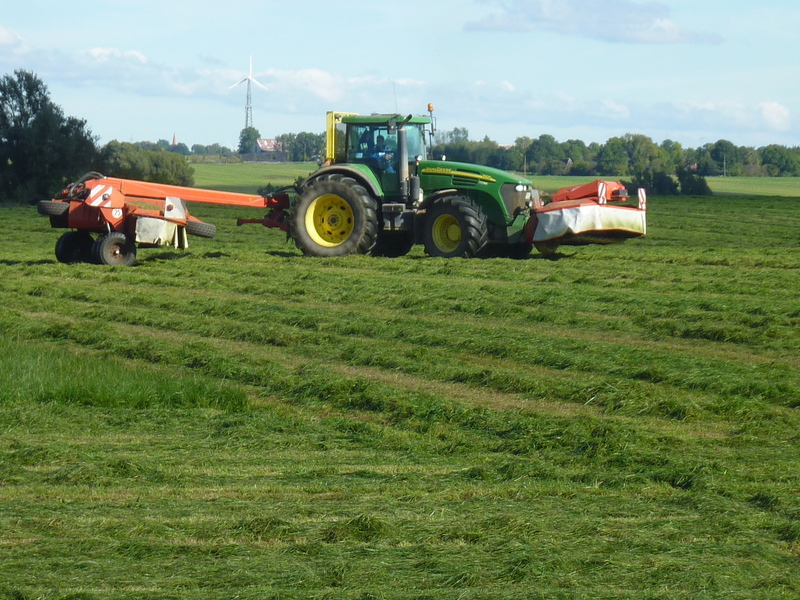 Cutting the grass