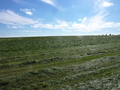 #3: View South