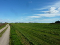 #4: View East