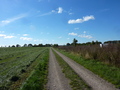 #5: View West