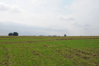 #3: Bild 2