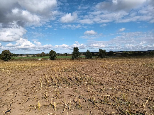 #1: Norden; view north