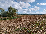 #2: Osten; view east