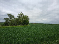 #2: east