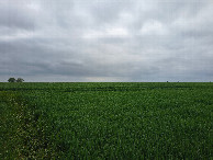 #3: south