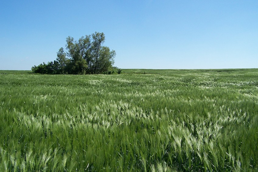 General view of the confluence (towards S, ca. 70 m away)