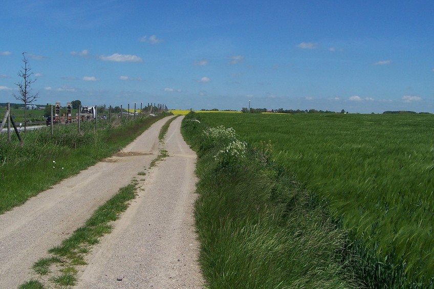 View towards E