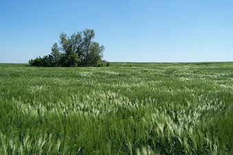 #1: General view of the confluence (towards S, ca. 70 m away)