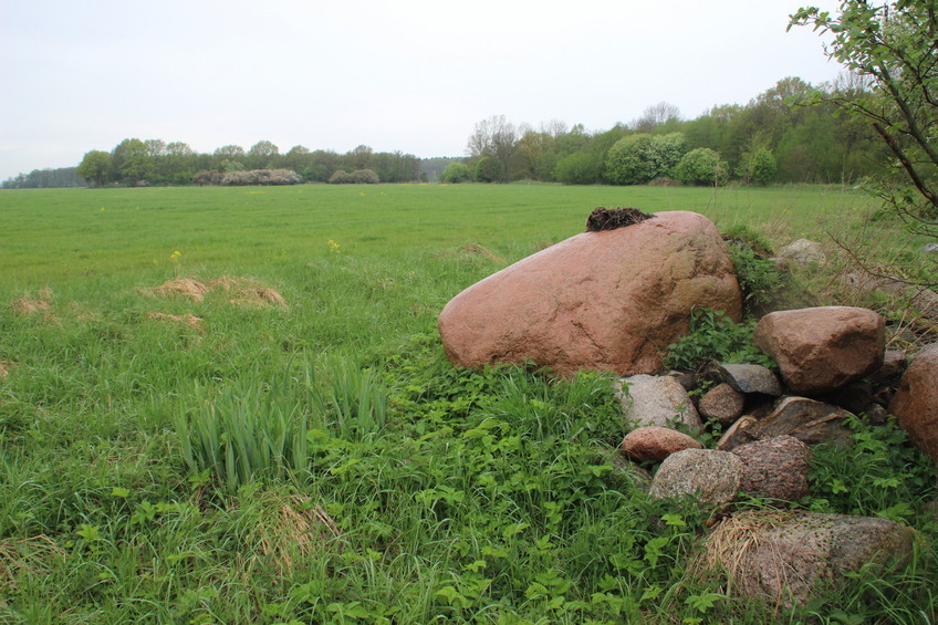 Erratic boulders, 100 m north-west