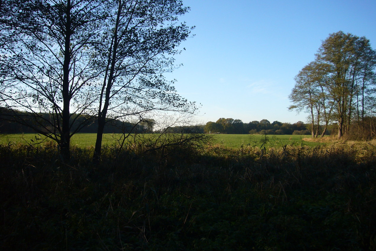 Vista cap a l'est / Looking east