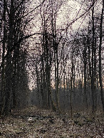 #8: Possible alternative path