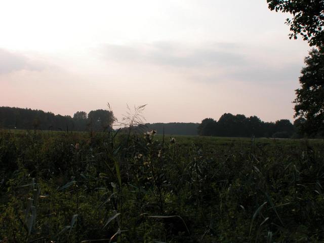 View north from the point / Blick vom Punkt nach Norden