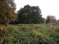 #3: View south from the point / Blick vom Punkt nach Süden