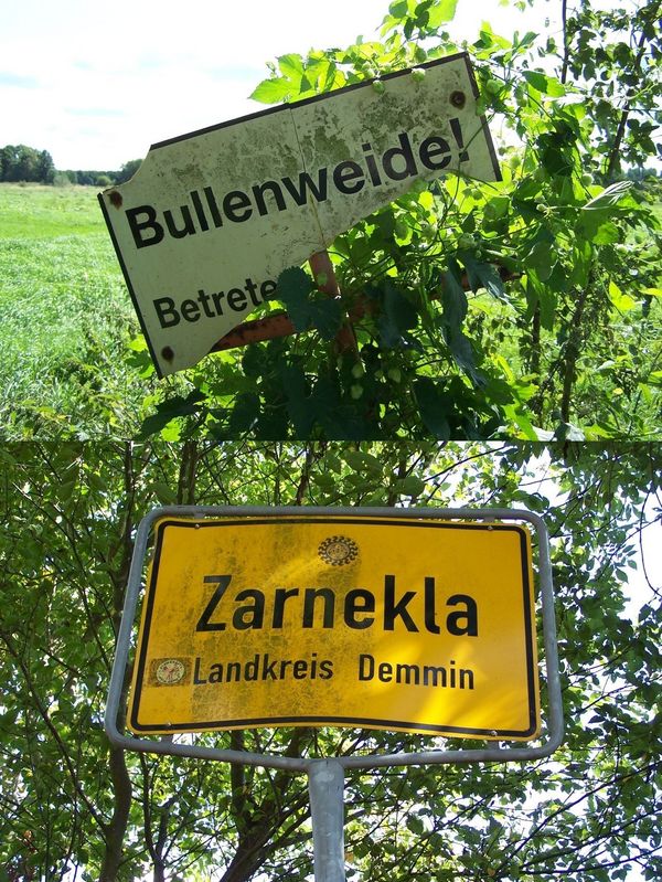 "Bulls' pasture! No entry!" and village limits of Zarnekla signs