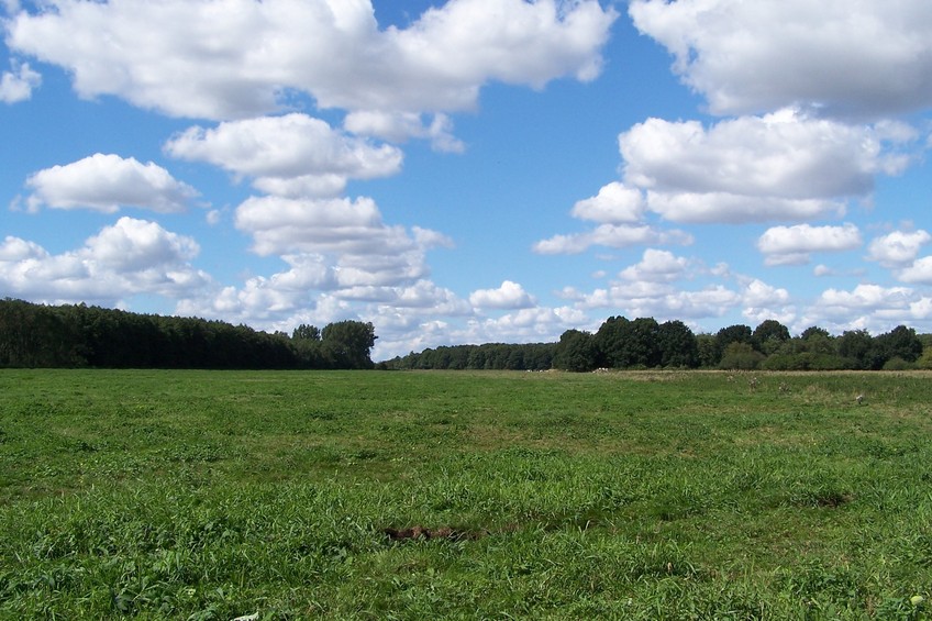 View towards W from the confluence