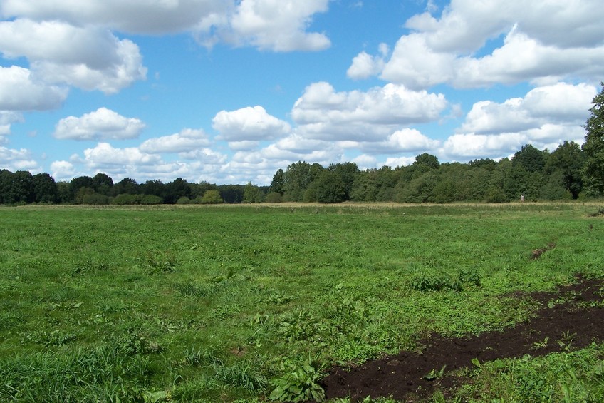 View towards N from the confluence