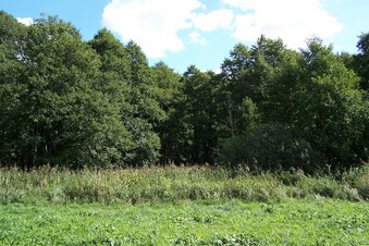 #1: General view of the confluence (towards E)