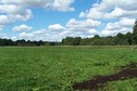 #4: View towards N from the confluence