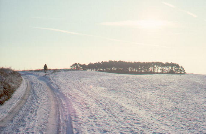 A white sunny day, on the way to the coast near Loddin