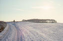 #2: A white sunny day, on the way to the coast near Loddin