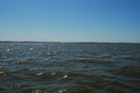 #4: View to South